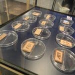 Article image of: ALV Machevo & Bulk Vereniging te gast bij TNO Eindhoven