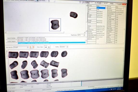 Article image of: Online 3D dynamische beeldanalyse