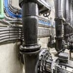 Article image of: Draka maakt duurzame kweek van exclusieve Yellowtail Kingfis