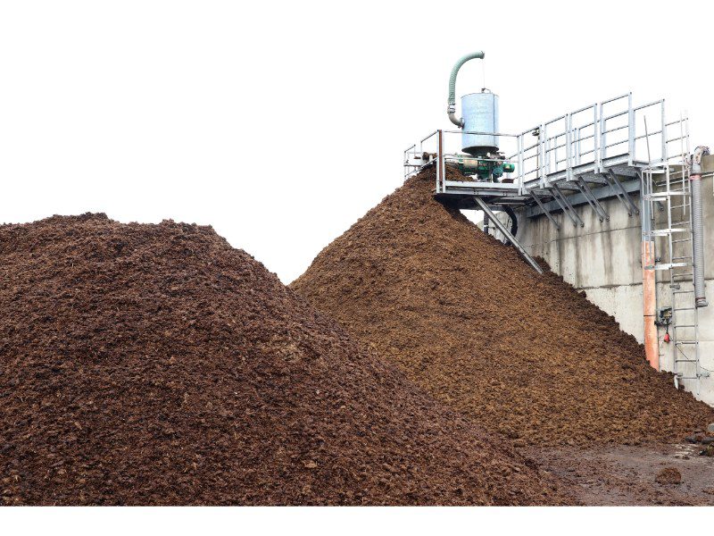 Article image of: Biomassacentrales: de 4 typen en hun werking