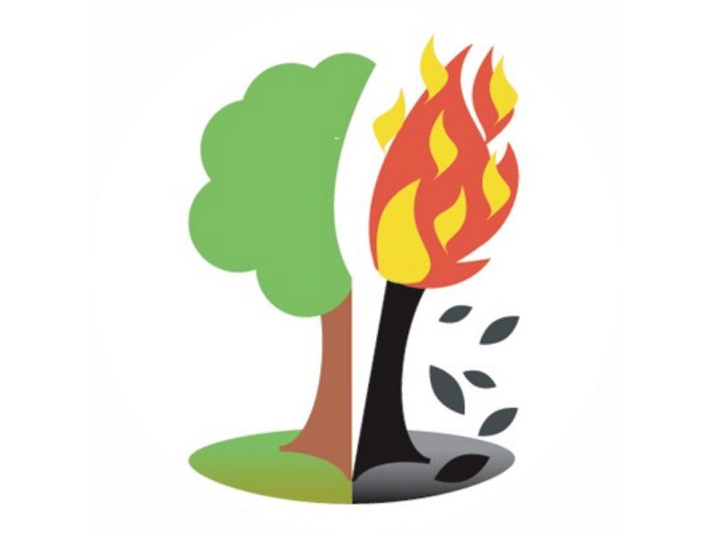 FAB logo. De FAB pleit voor stoppen met het verbranden van houtige biomassa ter bescherming van bestaande bossen.