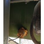 Article image of: Mest als exportproduct?