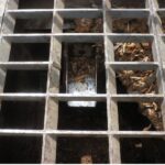 Article image of: Belang vochtgehalte bij verbranden van biomassa