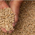 Article image of: Van zaagsel tot afgewerkte pellet: vochtmetingen zijn overal nodig