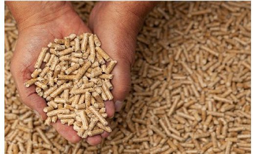 Article image of: Van zaagsel tot afgewerkte pellet: vochtmetingen zijn overal nodig