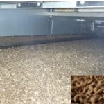 Article image of: Gedroogde meelwormen, een waardevolle bron van eiwitten. Hoe optimaliseer je dit droogproces?