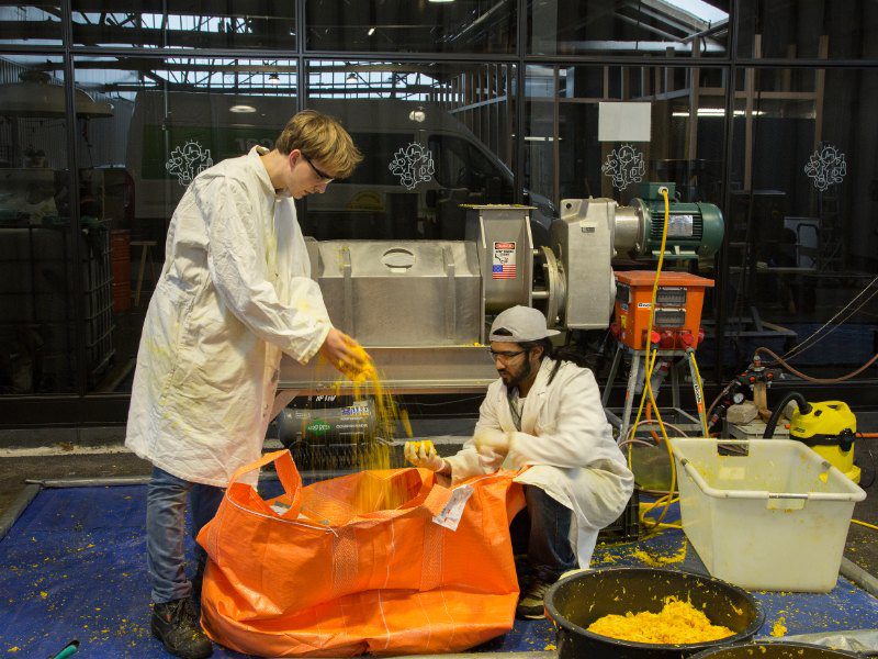 Peel Pioneers, start-up voor het verwaarden van citrusschillen.